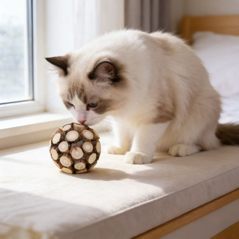 Catnip Stick Ball Pet Cat Mola - Catnip Toys recension och pris