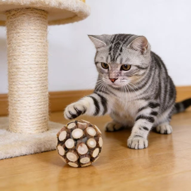 Catnip Stick Ball Pet Cat Mola - Catnip Toys recension och pris