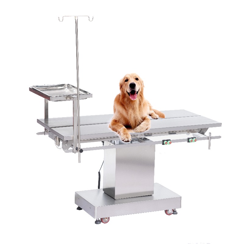 2026 Vet Examination Table Ani - Pet Supplies Vet Clinic recension och pris