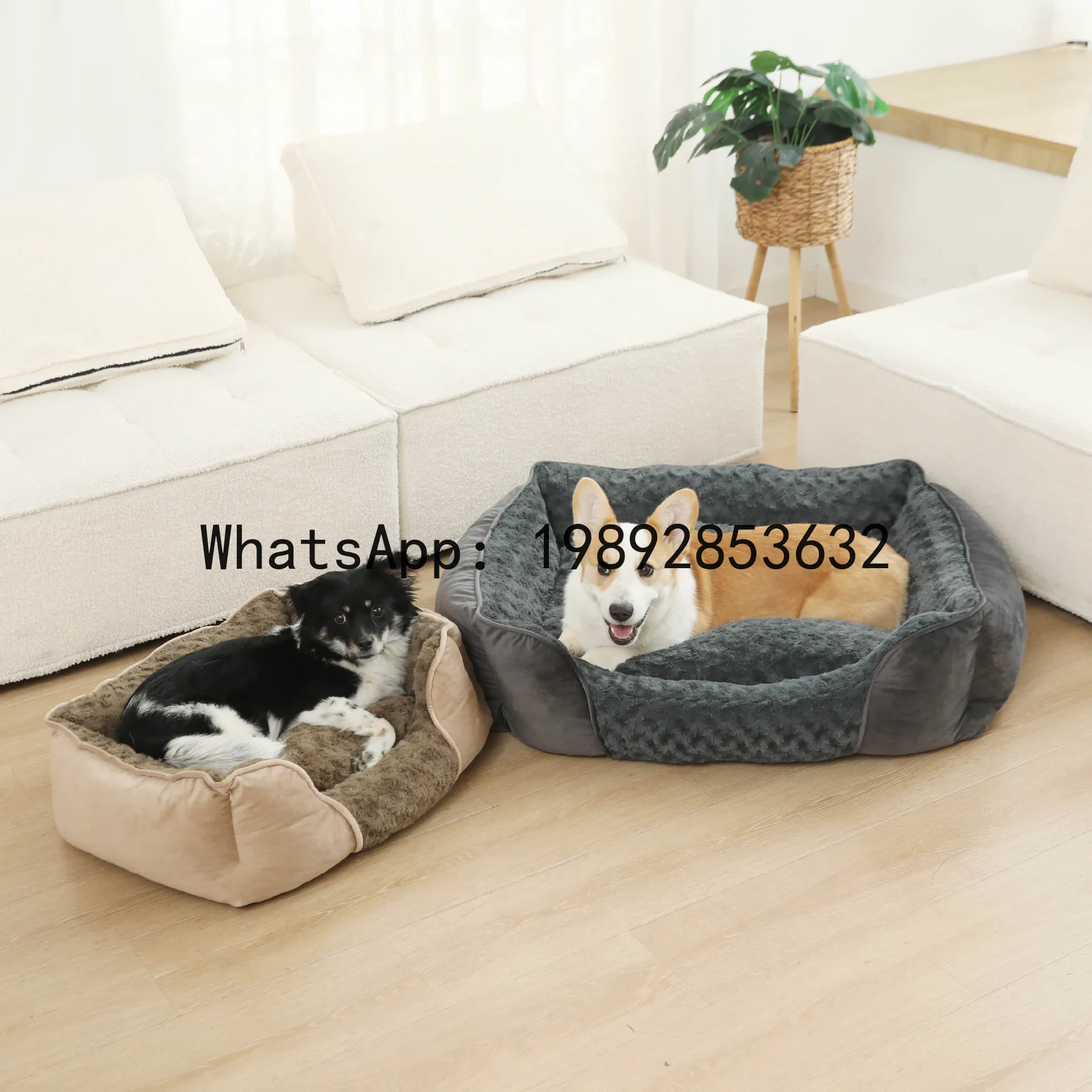 X cat house semi-enclosed dog  - Pet X Supplies & Tack Howell recension och pris