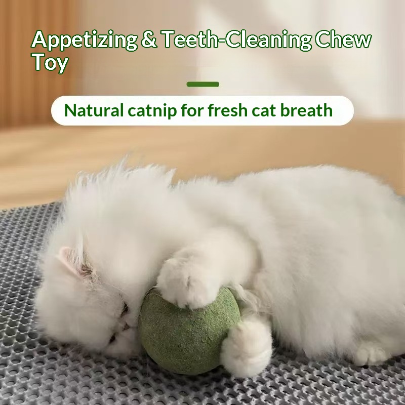 Catnip Ball Extra Large Cat To - Catnip Toys recension och pris
