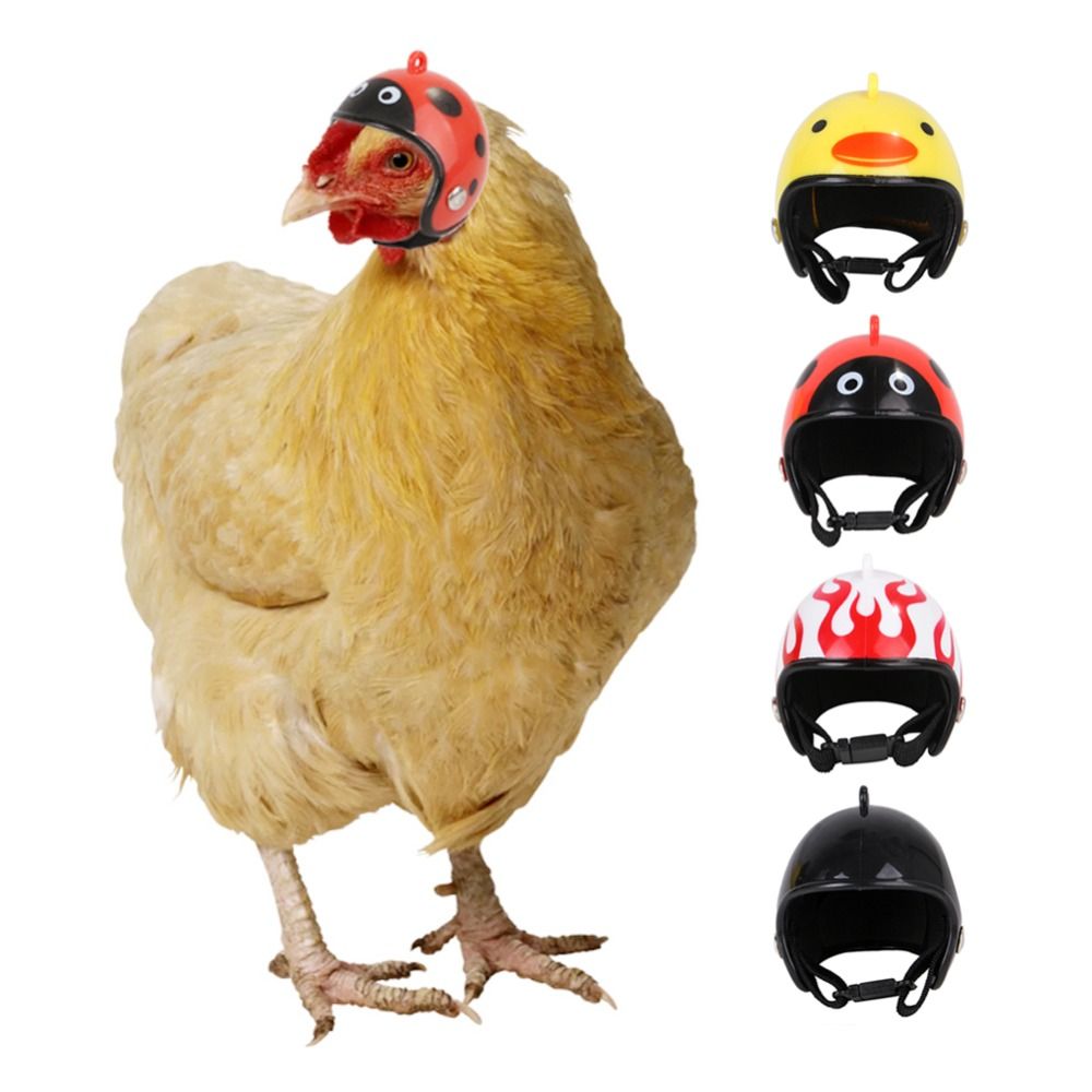 ABS Pet Supplies Funny Pet Pro - Pet X Supplies & Tack Howell recension och pris