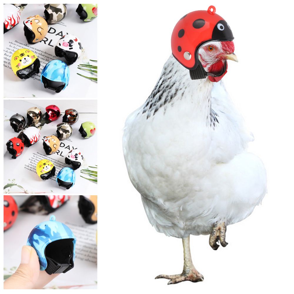 ABS Funny Pet Supplies Pet Pro - Pet X Supplies & Tack Howell recension och pris