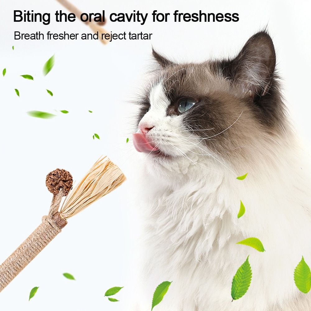 Silvervine Sticks Pet Cat Toys - Catnip Toys recension och pris