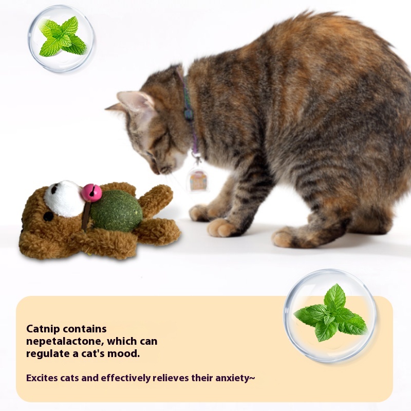 Catnip Ball Cat Toy Creative P - Catnip Toys recension och pris